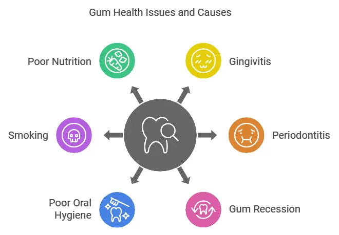 Common Gum Health Issues and Their Causes